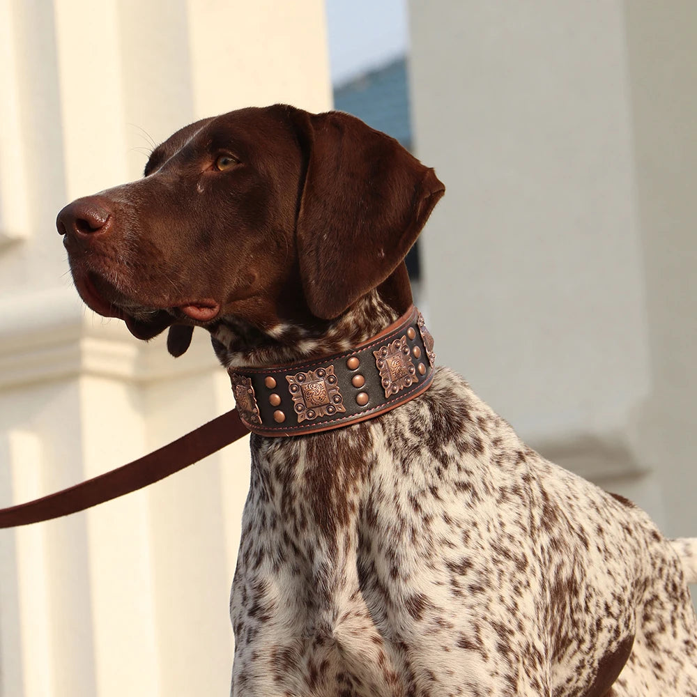 Collier de chien de luxe en cuir, décoré et serti de rivets en métal