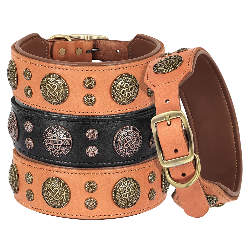 Collier de chien de luxe en cuir, décoré et serti de rivets en métal