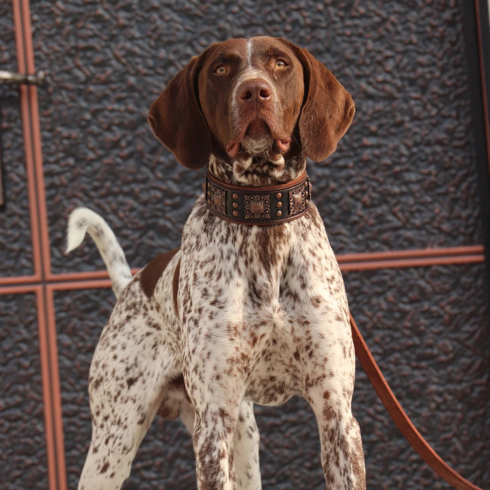 Collier de chien de luxe en cuir, décoré et serti de rivets en métal