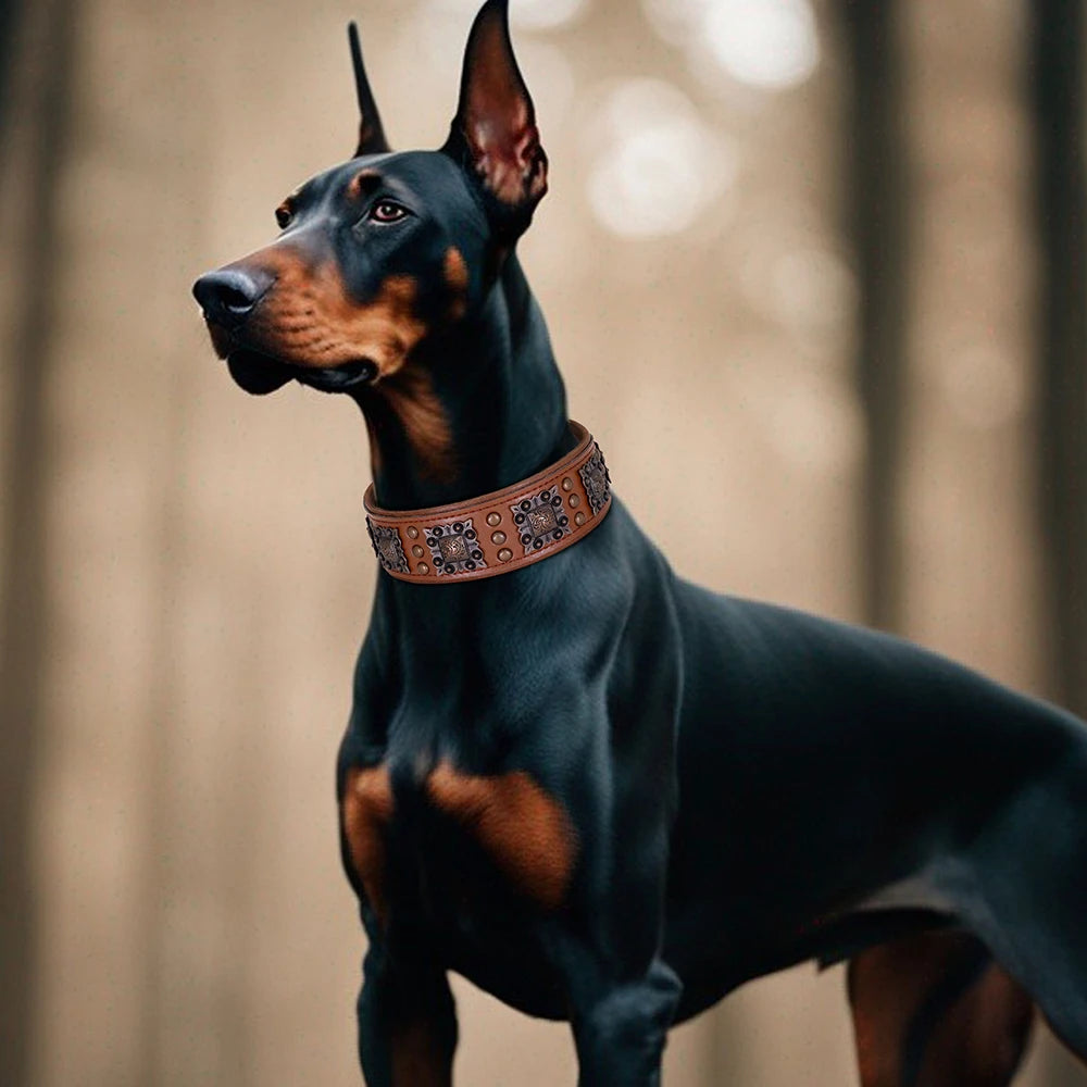 Collier de chien de luxe en cuir, décoré et serti de rivets en métal