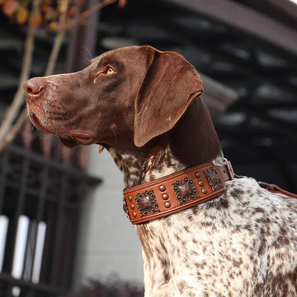 Collier de chien de luxe en cuir, décoré et serti de rivets en métal