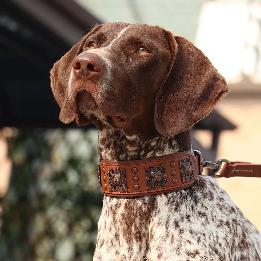 Collier de chien de luxe en cuir, décoré et serti de rivets en métal